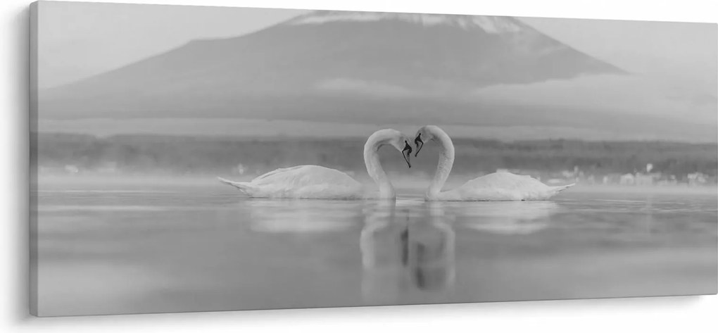 Obraz - Zamilované labute (120x50 cm)