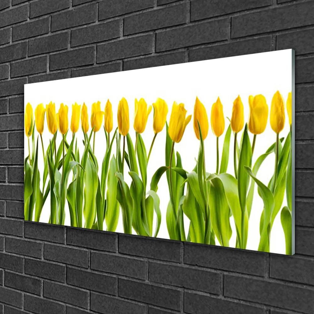 Skleneny obraz Tulipány kvety príroda 125x50 cm