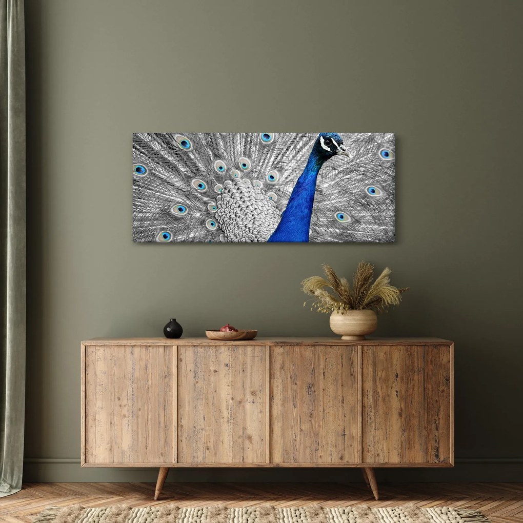 Obraz - modrý páv (120x50 cm)