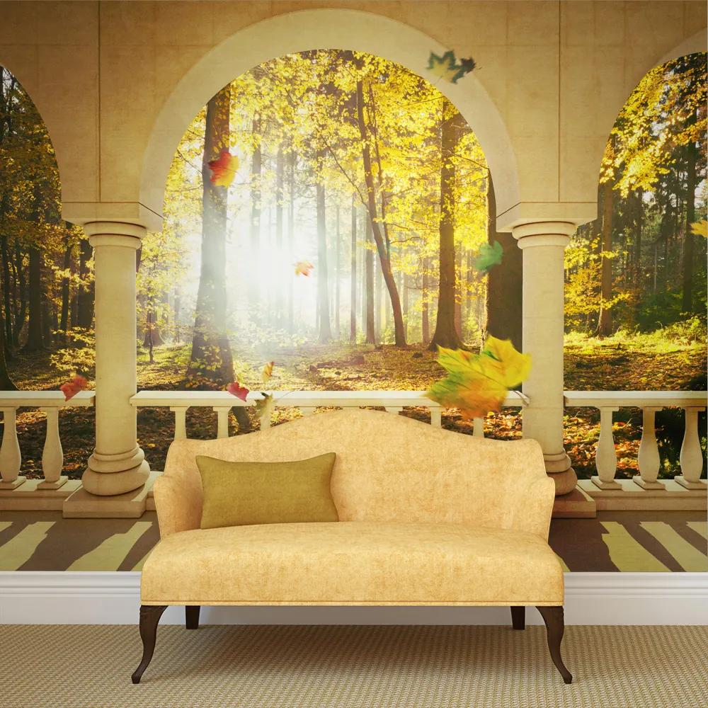 Fototapeta Bimago - Dream about autumnal forest + lepidlo zadarmo 200x154 cm