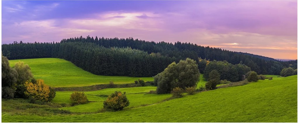 Obraz lúky (120x50 cm)