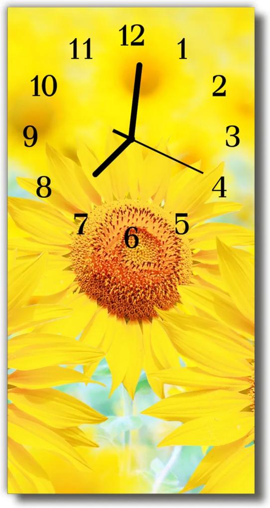 Sklenené hodiny vertikálne  Kvety Slnečnica žltá