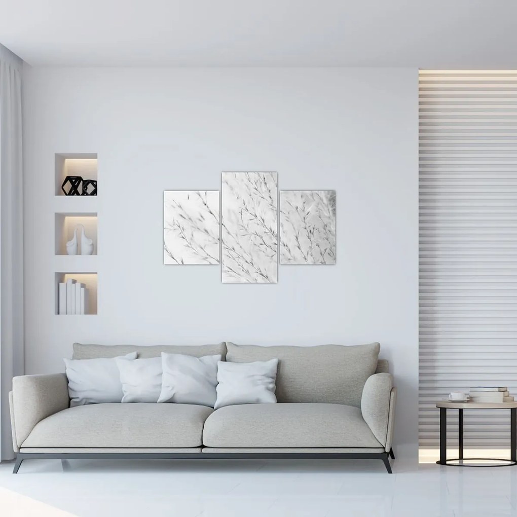 Obraz - Pampas grass N⁰2 (90x60 cm)