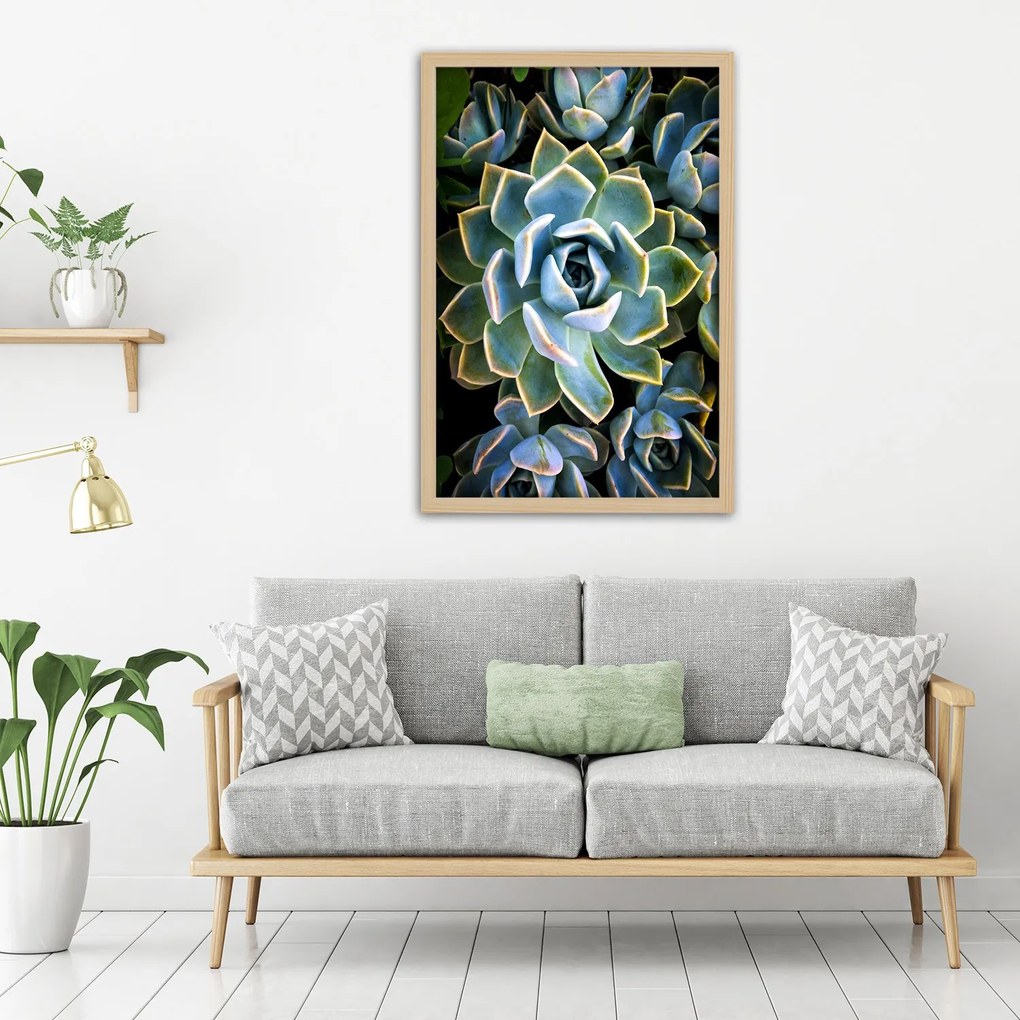 Gario Plagát Sukulentné so žltými okrajmi Farba rámu: Bez rámu, Rozmery: 30 x 45 cm