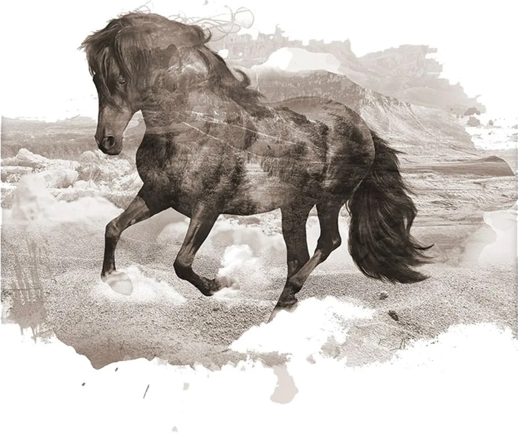 Plagát Horse