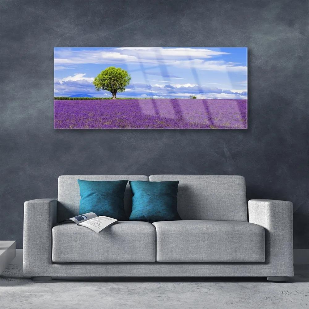 Obraz plexi Pole levanduľa strom príroda 125x50 cm