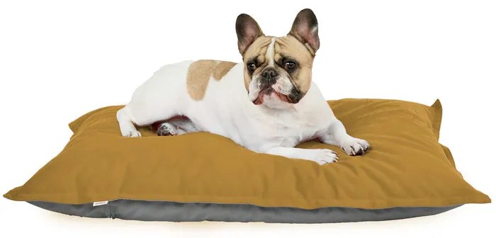 Peliešok pre psa Plyš Farba: Bežový, Veľkosť: 50x70 cm