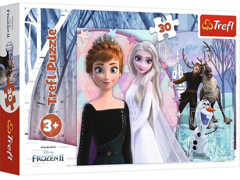 18275 DR Detské puzzle - Frozen VI. - 30ks