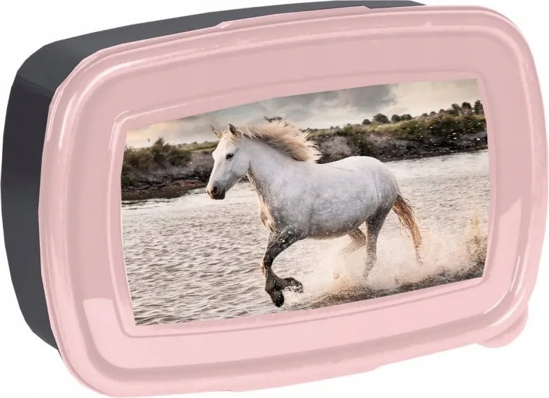 Školský 5 dielny set pre dievčatá s koníkom