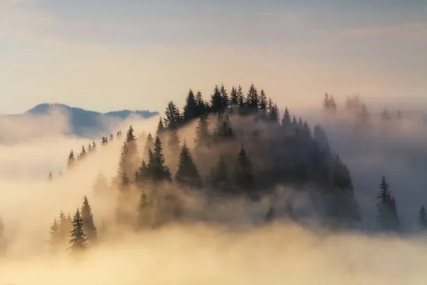 Umelecká fotografie Foggy sunrise in the mountains in summer, Anton Petrus, (40 x 26.7 cm)