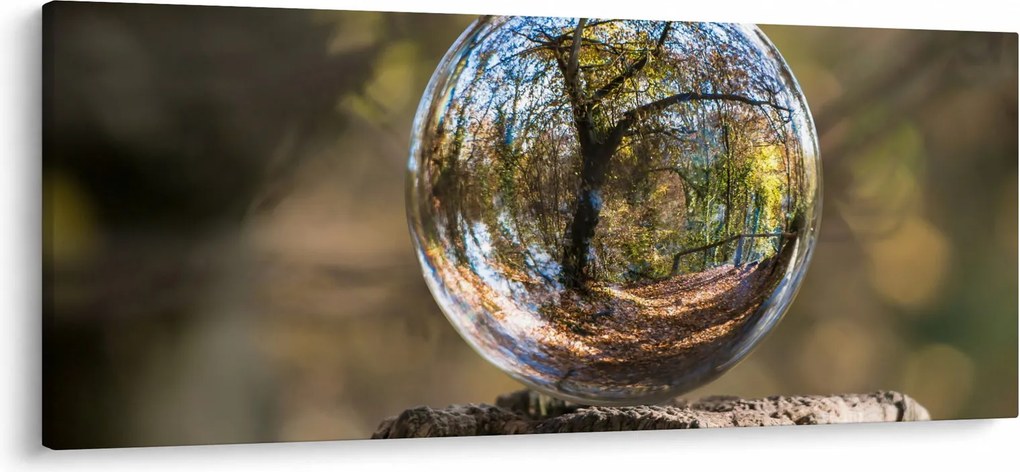 Obraz - Odraz v sklenenej guli (120x50 cm)