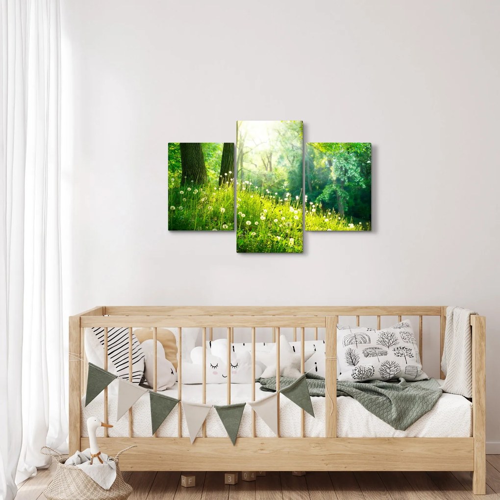 Obraz - Magická lúka plná púpav (90x60 cm)