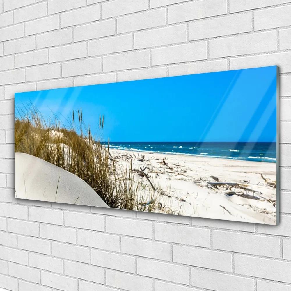 Obraz na akrylátovom skle Pláž príroda 125x50 cm