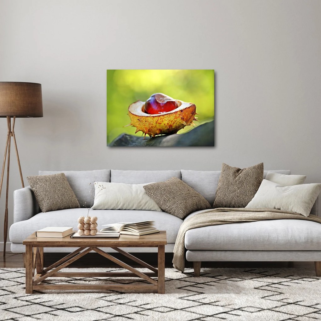 Obraz gaštanov (70x50 cm)