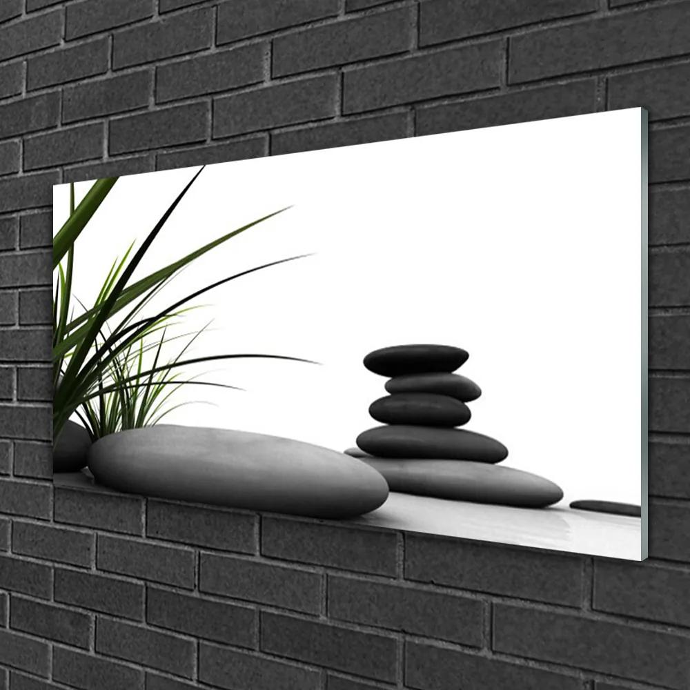 Skleneny obraz Kamene zen tráva 125x50 cm
