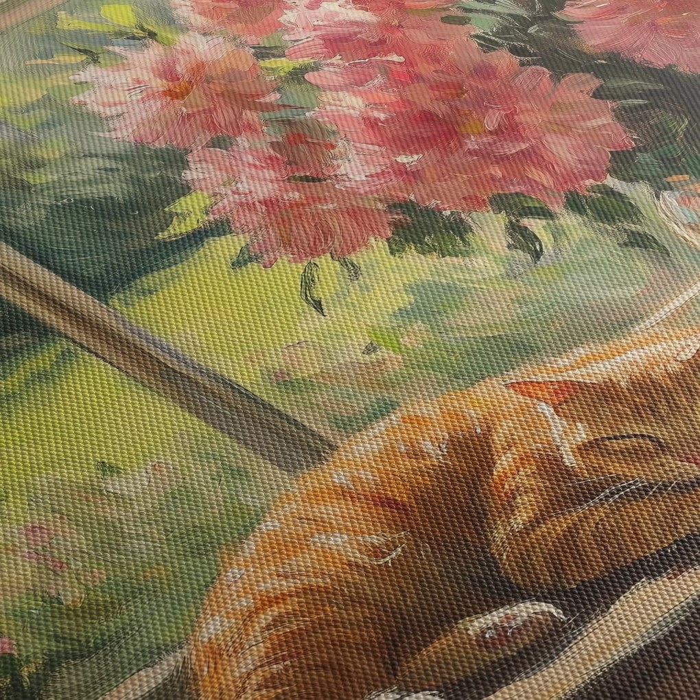 Obraz - Mačka na okne (150x105 cm)