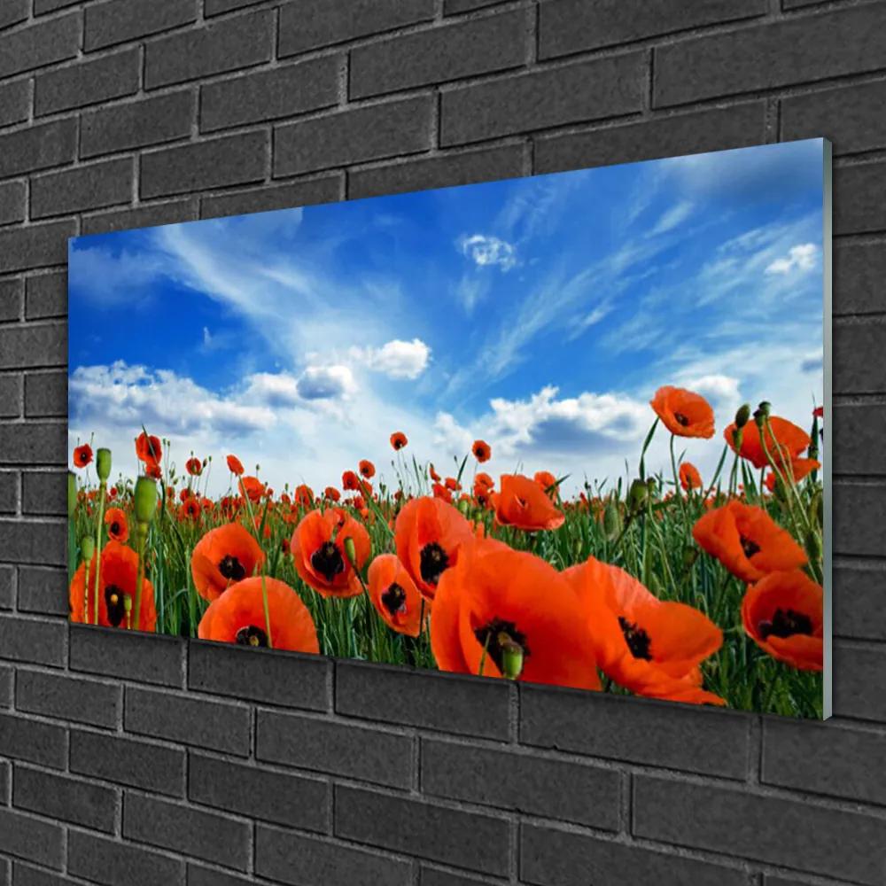 Skleneny obraz Lúka maky kvety 125x50 cm