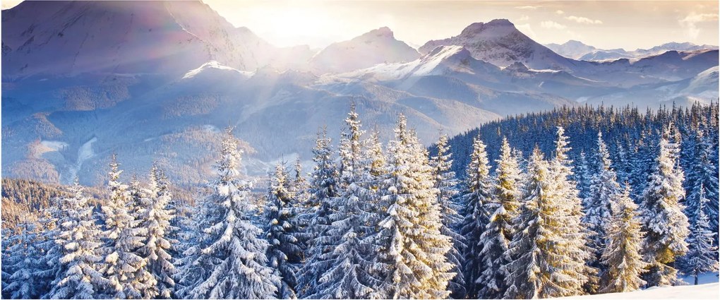 Obraz - Horská krajina v zime (120x50 cm)