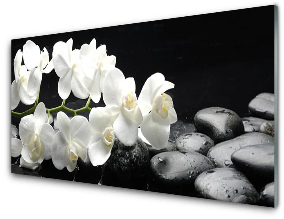 Obraz na skle Kvet kamene rastlina 125x50cm