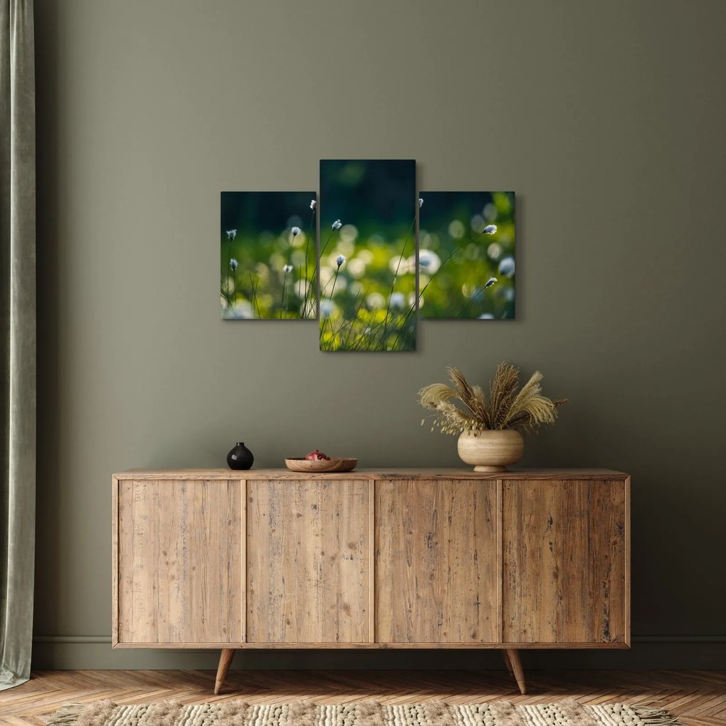 Obraz - Tráva (90x60 cm)