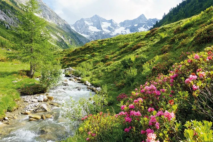 Plagát, Obraz - Alpy - Nature and Mountains