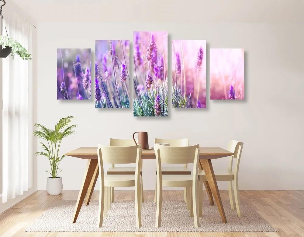 5-dielny obraz kúzelné kvety levandule - 200x100