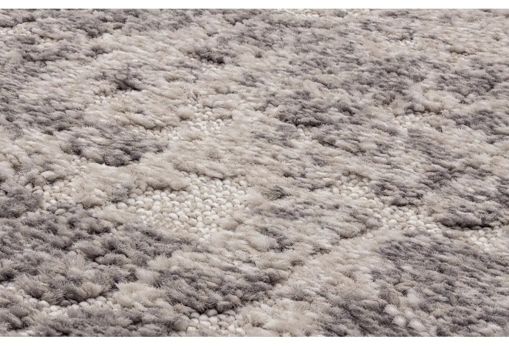 Sivo-krémový koberec 200x280 cm Lori – FD