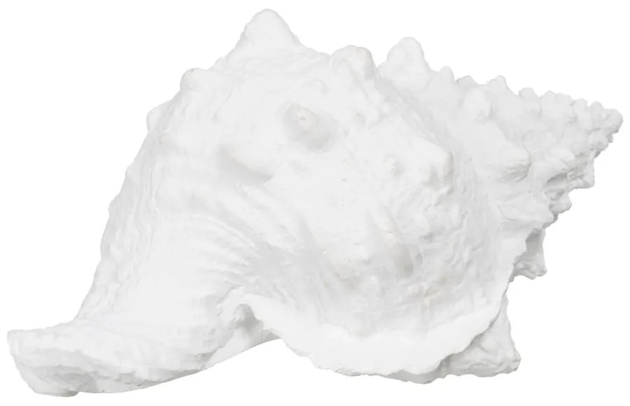 Soška z polyresínu (výška 12 cm) Seashell – Ixia