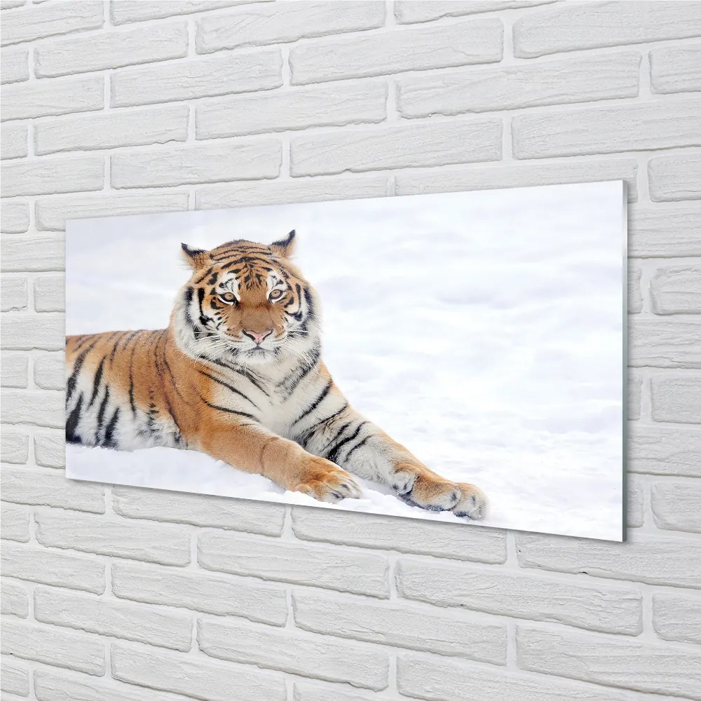 Nástenný panel  Tiger winter 125x50 cm