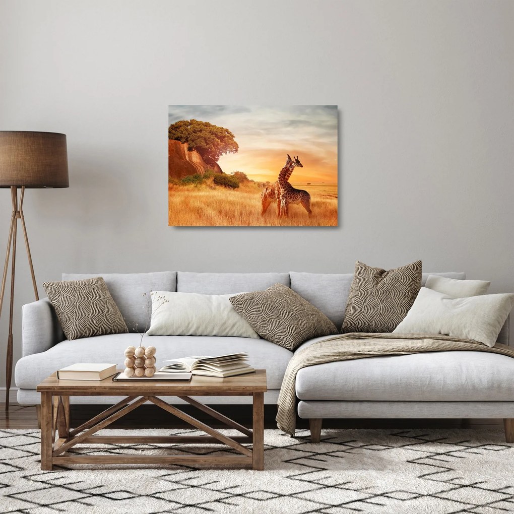 Sklenený obraz - Žirafy v Afrike (70x50 cm)