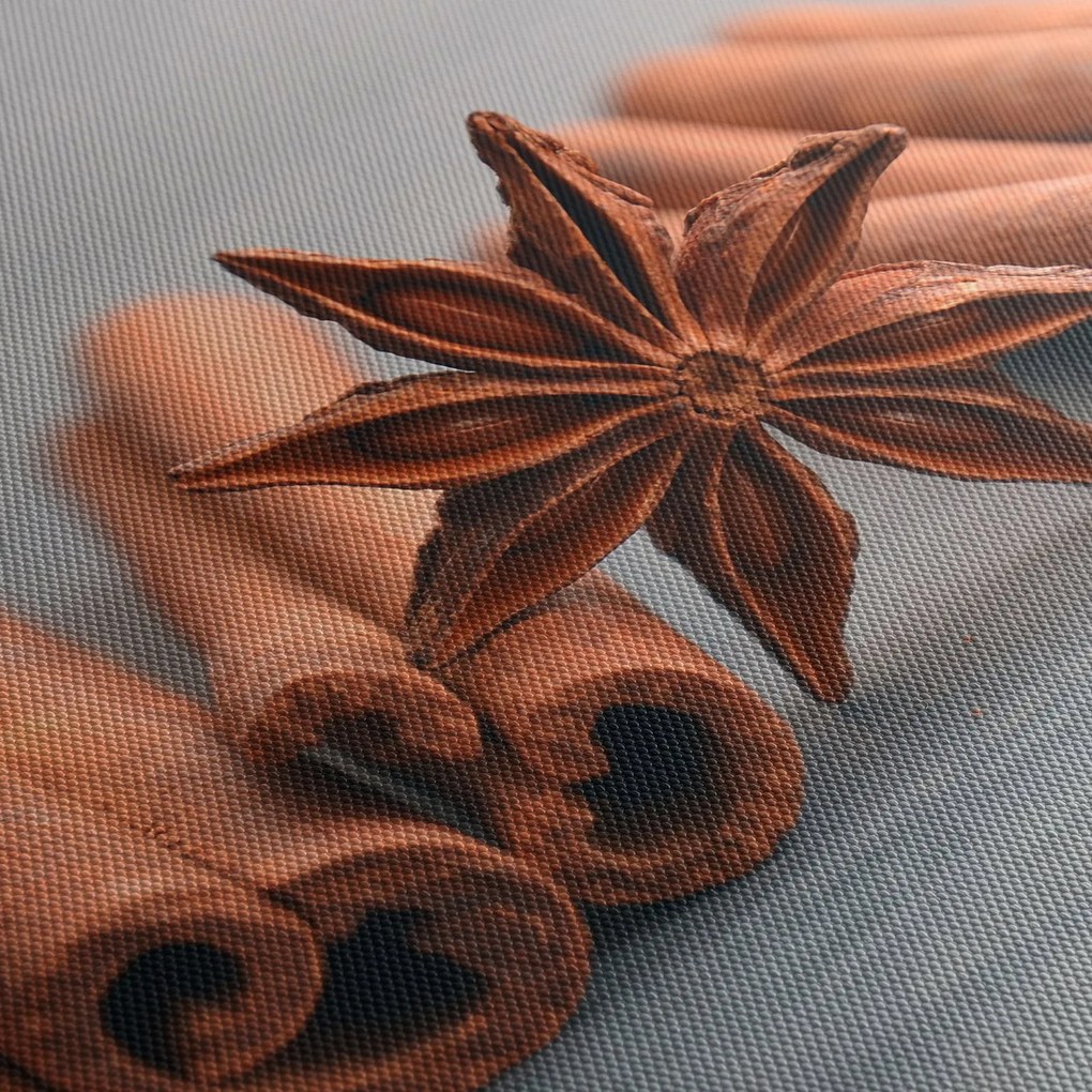 Obraz škorice (90x60 cm)