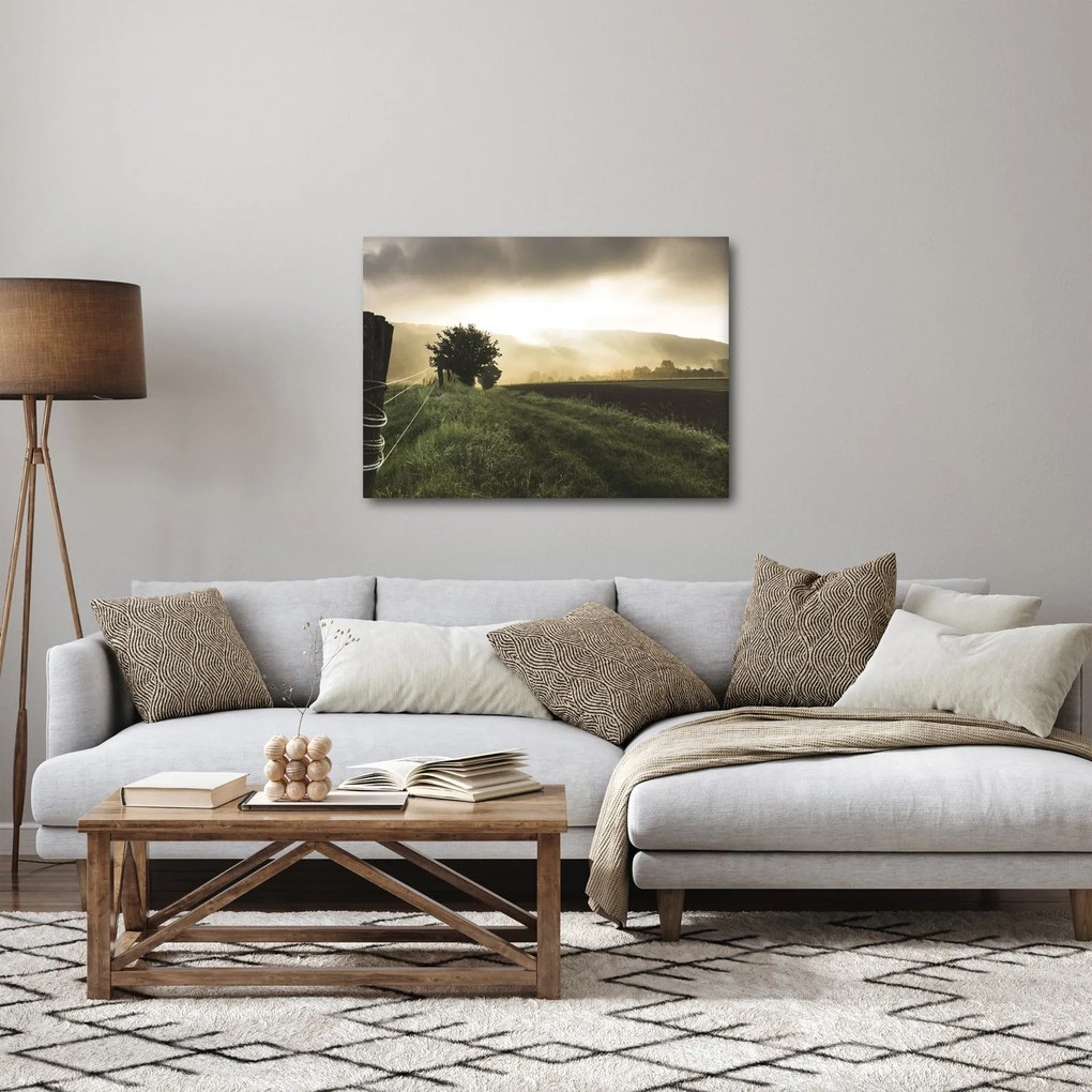 Obraz lúky (70x50 cm)