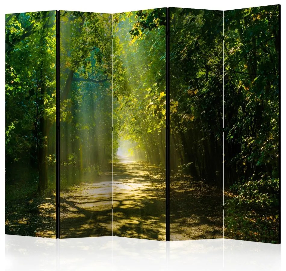 Artgeist Paraván - Road in Sunlight II [Room Dividers]