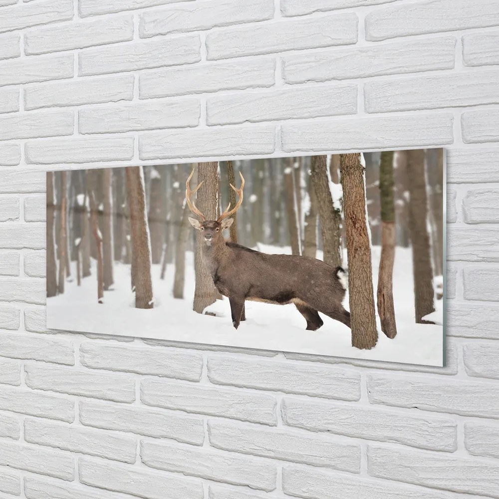 Obraz na akrylátovom skle Jeleň zimné les 120x60 cm