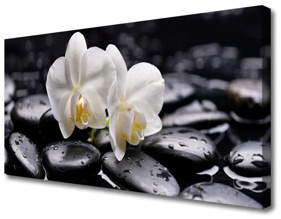 Obraz Canvas Kamene zen biela orchidea 140x70cm