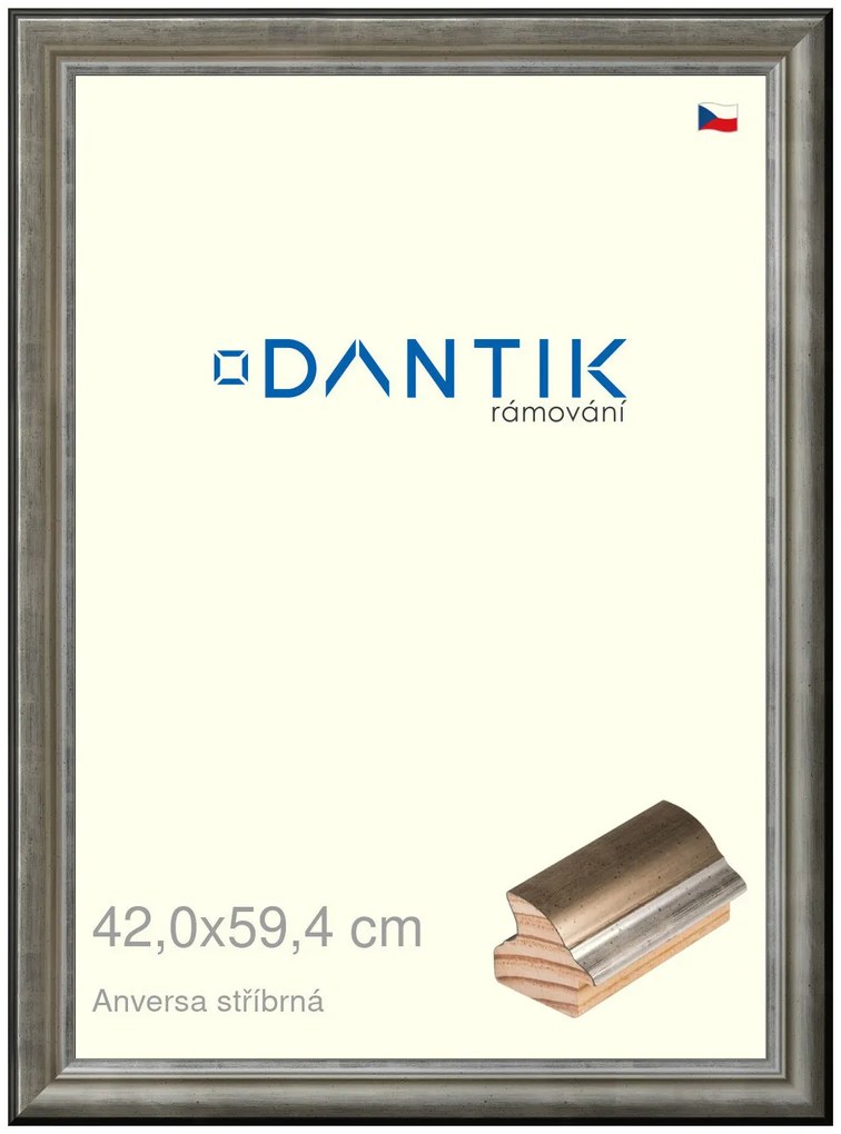 DANTIK rám na obraz 42x59,4 | ANIVERSA stříbrná (Plexi Čiré)