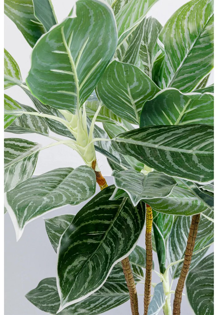 Calathea umelá rastlina zelená 140 cm