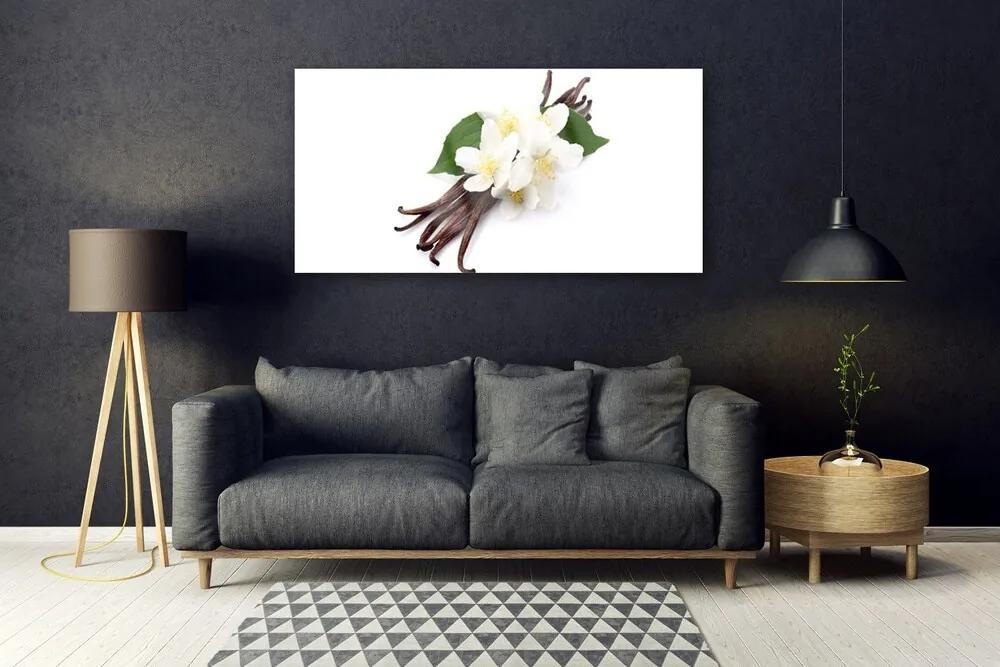 Obraz plexi Vanilková tyčinka do kuchyne 120x60 cm