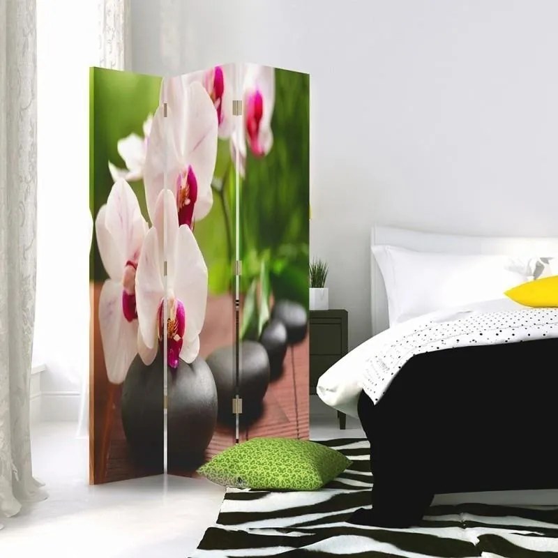 Gario Paraván Orchidea a šumivé kamene Rozmery: 110 x 170 cm, Prevedenie: Klasický paraván