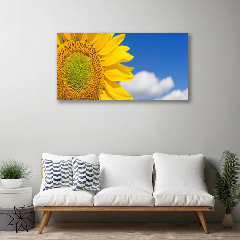 Obraz na plátne Slnečnica mraky 120x60 cm