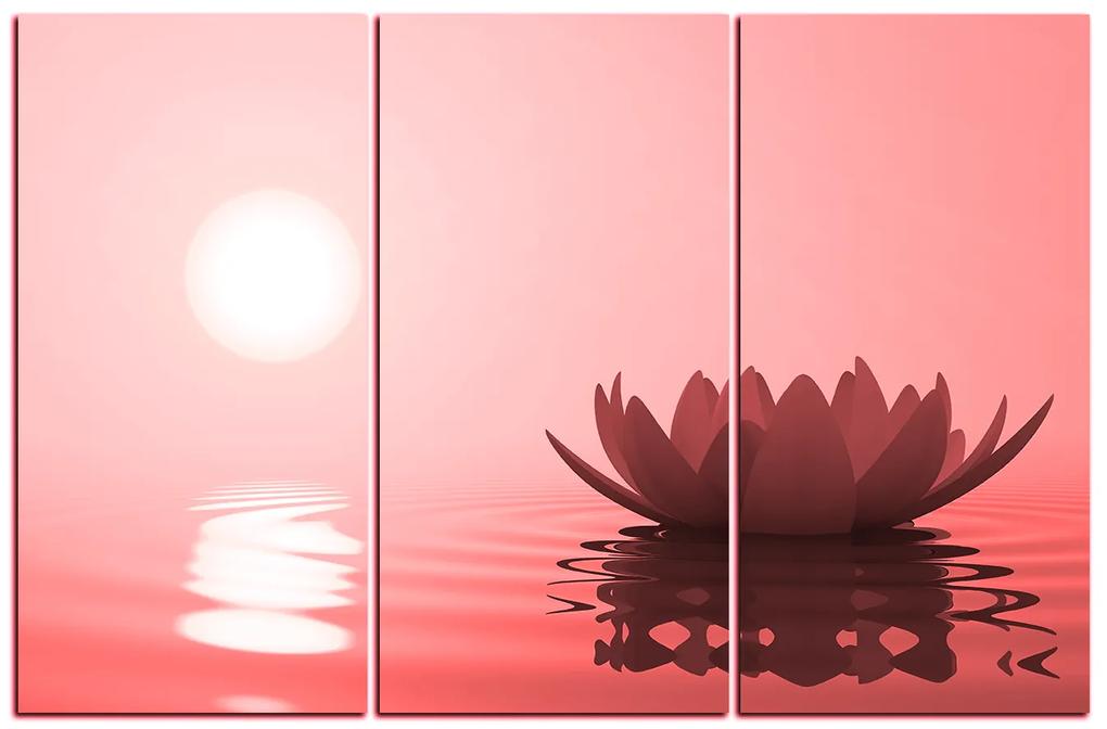 Obraz na plátne - Zen lotus 1167CB (105x70 cm)