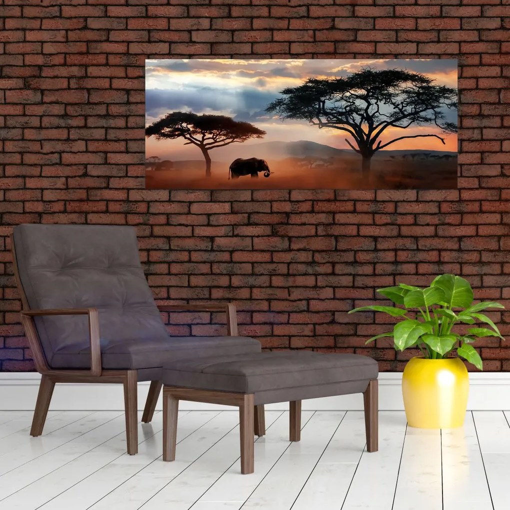 Obraz - Národný park Serengeti, Tanzánia, Afrika (120x50 cm)