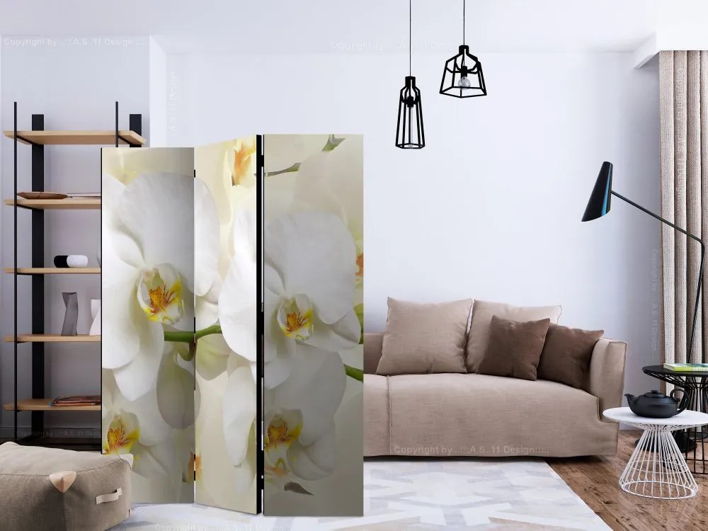 Artgeist Paraván - Orchid Branch [Room Dividers]