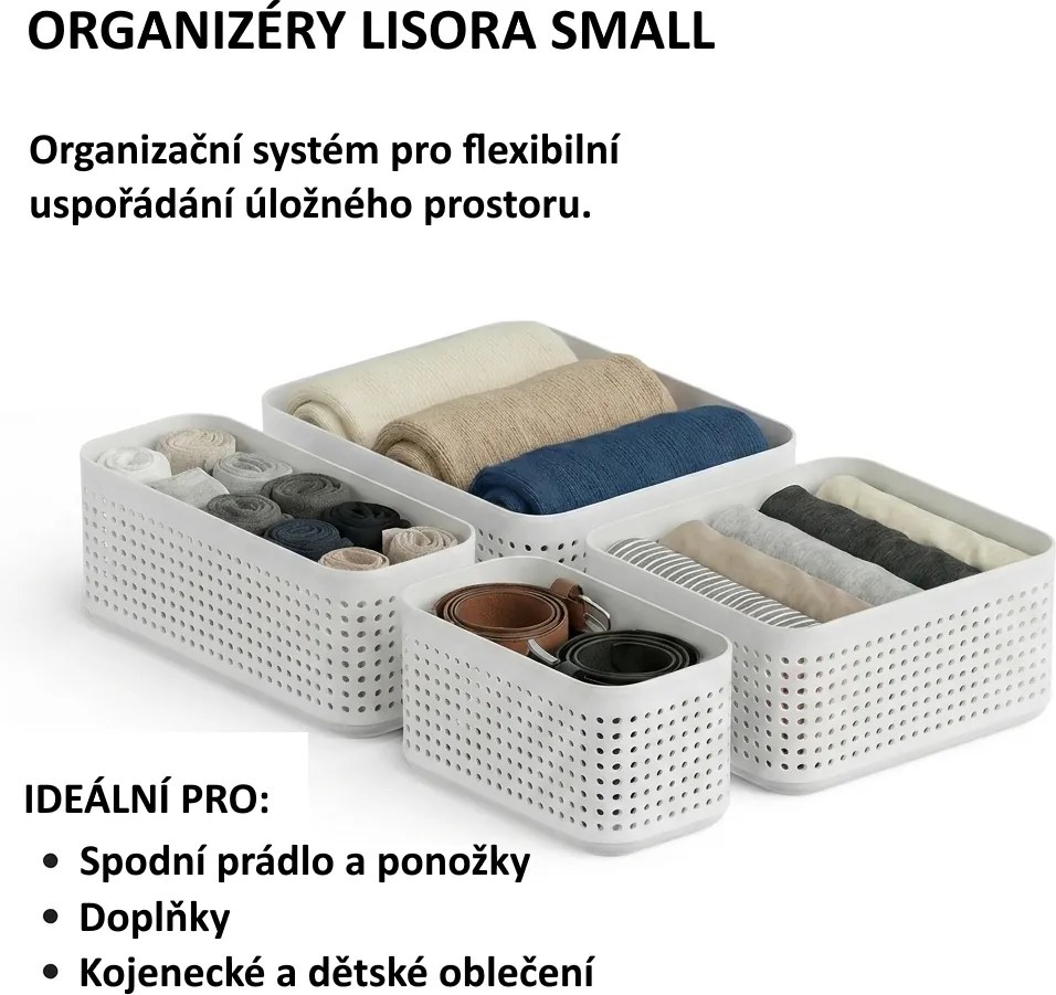 Rotho Úložný box do zásuvky, šatníkový organizér LISORA SMALL, 25,8 x 10,3 x 10 cm