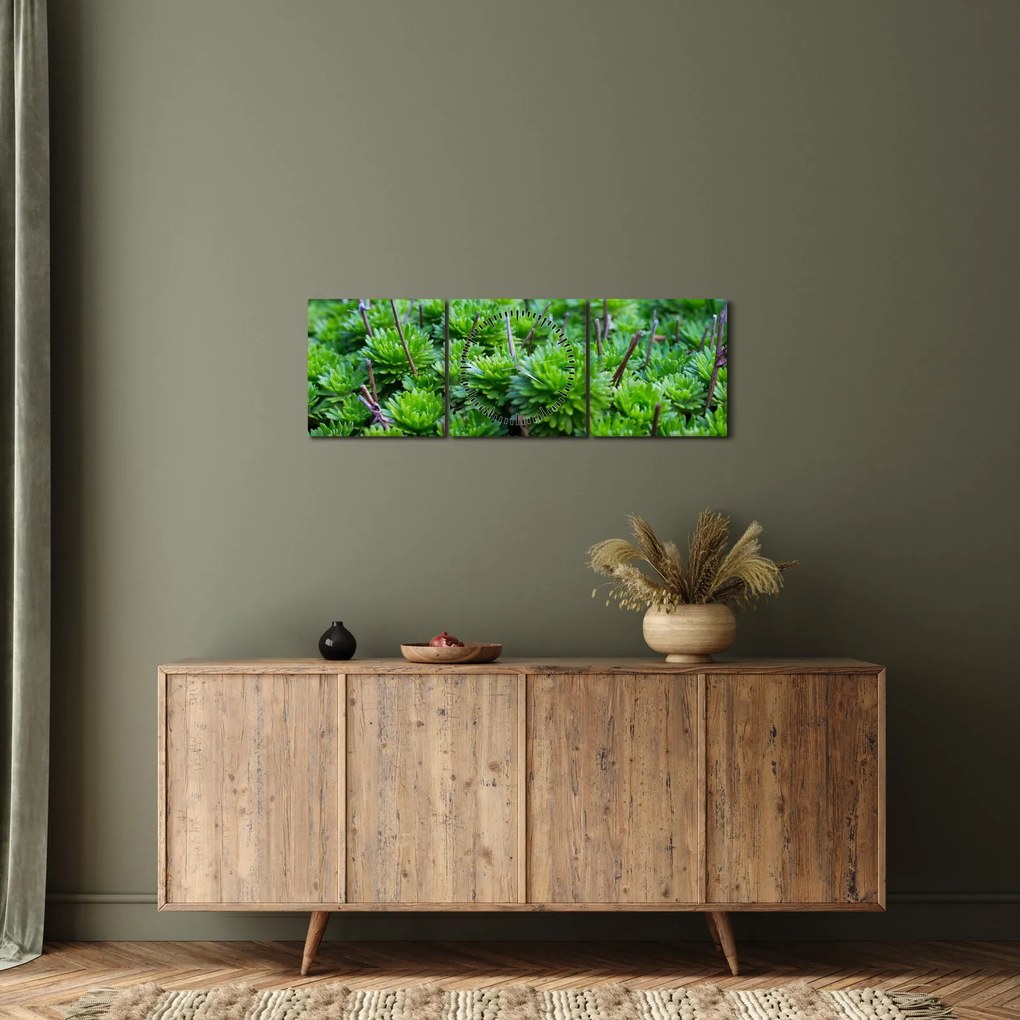 Obraz sukulentov (s hodinami) (90x30 cm)