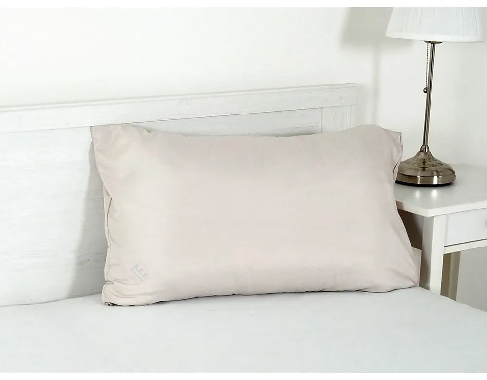 Obliečka na vankúš z mikrovlákna 45x75 cm Summer – B.E.S.