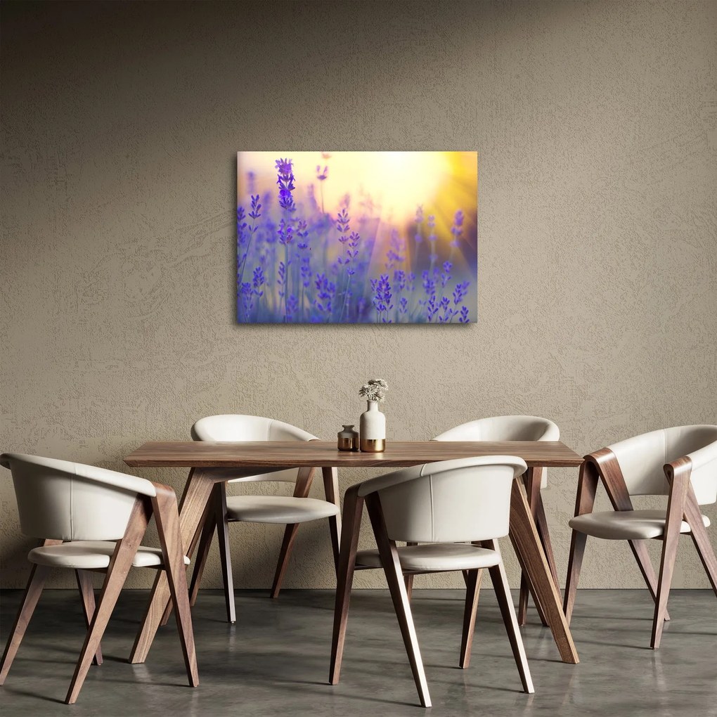 Obraz - Levanduľa (70x50 cm)
