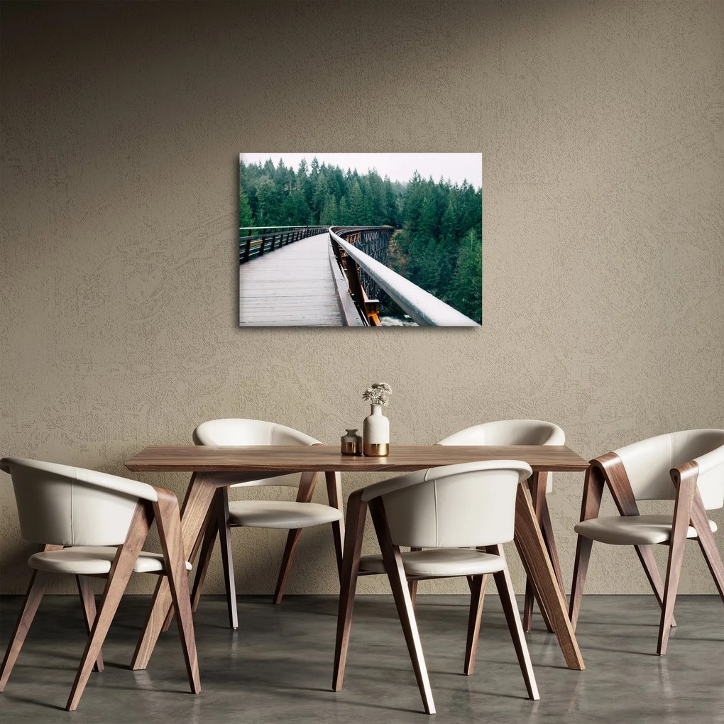 Obraz - Most k vrcholkom stromov (70x50 cm)