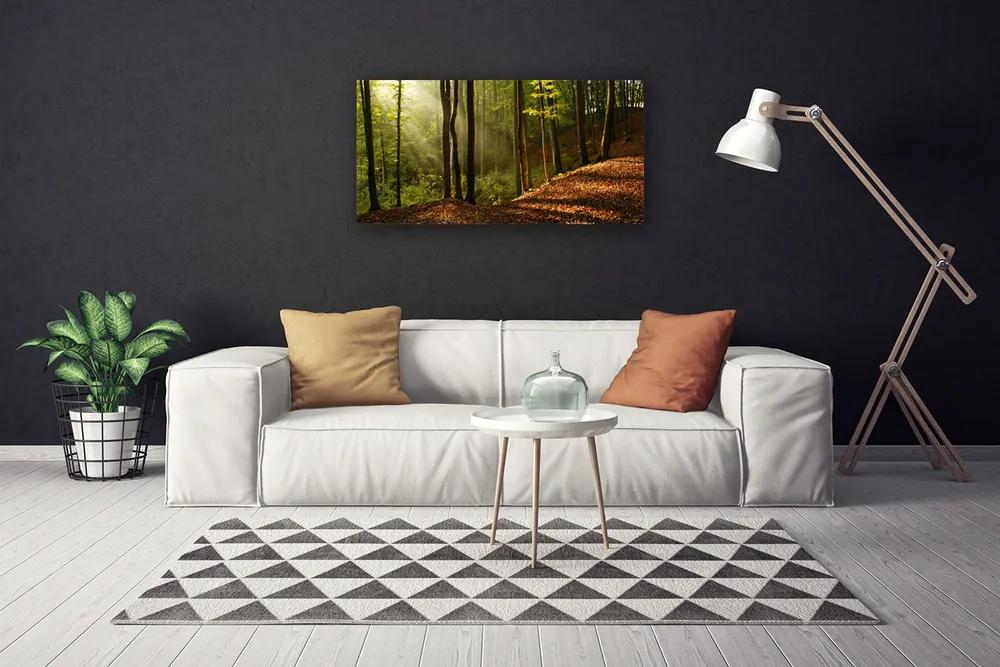 Obraz Canvas Les stromy príroda 140x70 cm
