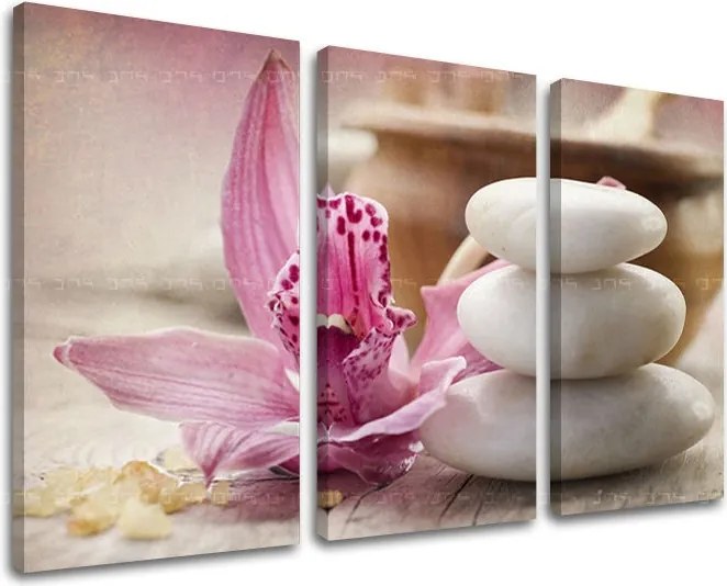 Obraz na stenu 3 dielny FENG SHUI FS017E30